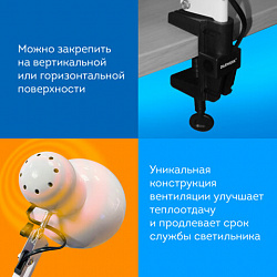 Настольная лампа / светильник на струбцине, Е27, 40 Вт, белый, высота 75 см, DASWERK (ДАСВЕРК), 238323