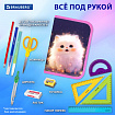 Пенал BRAUBERG, 1 отделение, 2 откидные планки, полиэстер, 21х14 см, "Tiny beauty", 273527