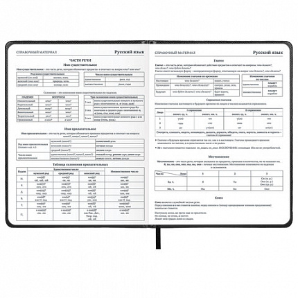 Дневник 1-11 класс 48 л., кожзам (твердая с поролоном), нашивка, BRAUBERG IGUANA, черный, 107225