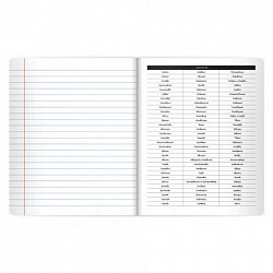 Тетрадь предметная BLACK MODE 48 л., пластиковая обложка, РУССКИЙ ЯЗЫК, линия, подсказ, BRAUBERG, 405523