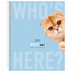 Тетрадь А5 96 л., HATBER, спираль, линия, матовая ламинация, "Кто здесь?" (микс в спайке), 093672, 96Т5лВ2сп