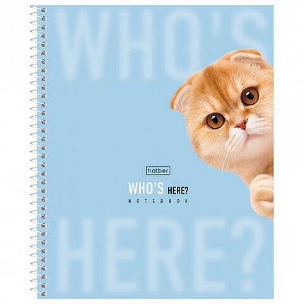 Тетрадь А5 96л. HATBER спираль, линия, матовая ламинация, Кто здесь? (микс в спайке),, 96Т5лВ2сп