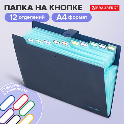 Папка-органайзер на кнопке 12 отделений, BRAUBERG "Extra", А4, синяя с голубым, 271933
