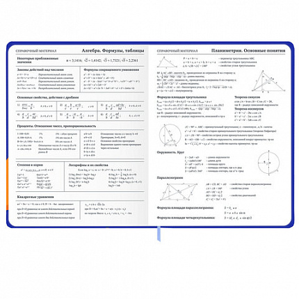 Дневник 1-11 класс 48 л., твердый, BRAUBERG, матовая ламинация, резинка, закладка-ляссе, с подсказом, "Гусь", 107237