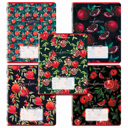 Тетрадь 18 л. BRAUBERG, клетка, обложка картон, ГРАНАТ, 107296