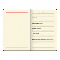 Ежедневник недатированный МАЛЫЙ 100х150 мм А6 BRAUBERG "Metropolis Mix", под кожу, 136 л., голубой, 113307