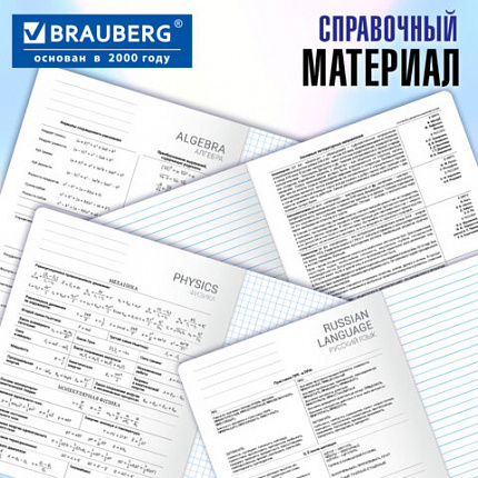 Тетради предметные, КОМПЛЕКТ 12 ПРЕДМЕТОВ, 48 л., глянцевый лак, BRAUBERG, "ВЕЛИКИЕ ЛЮДИ", 405605