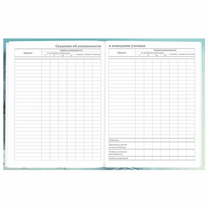 Дневник 5-11 класс 48 л., твердый, BRAUBERG, глянцевая ламинация, с подсказом, "Космический корабль", 107189