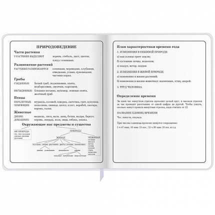 Дневник 1-4 класс 48 л., кожзам (гибкая), печать, фольга, ЮНЛАНДИЯ, "Лисёнок", 106216