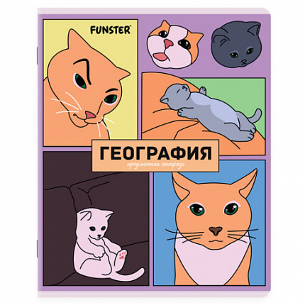 Тетради предметные, КОМПЛЕКТ 12 ПРЕДМЕТОВ, 48 л., TWIN-лак, FUNSTER (ФАНСТЕР), МЕМНЫЕ КОТЫ, 405604