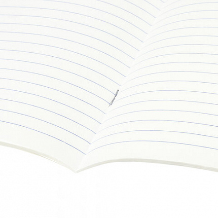 Тетради предметные, КОМПЛЕКТ 10 ПРЕДМЕТОВ, BLACK & BRIGHT, 48 листов, глянцевый лак, BRAUBERG, 403560