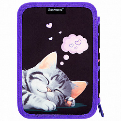 Пенал BRAUBERG, 3 отделения, полиэстер, 21х14 см, "Sleeping kitten", 273538