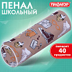 Пенал-тубус ПИФАГОР, мягкий, "HOLIDAY", 20х7 см, 229269