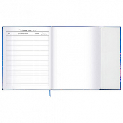 Дневник 1-11 класс 48 л., твердый, BRAUBERG, матовая ламинация, магнитный клапан, закладка-ляссе, с подсказом, "Magic", 107243