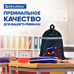 Мешок для обуви BRAUBERG, с петлей, светоотражающая полоса, 2 отделения, 46х36 см, "Fire spider", 273450