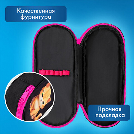 Пенал-футляр BRAUBERG, 1 отделение, органайзер, полиэстер, 22x9х5 см, "Angry kitty", 273566