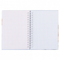 Блокнот МАЛЫЙ ФОРМАТ А6, 80 л., гребень, твердый картон, клетка 2 цв., HATBER, "Нежный флёр", 082839, 80ЗКтд6В1гр_300