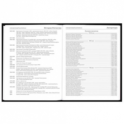 Дневник 5-11 класс 48 л., твердый, BRAUBERG, выборочный лак, с подсказом, "Dragon", 107195