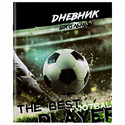 Дневник 1-11 класс 40 л., на скобе, ПИФАГОР, обложка картон, "Футбол", 106817