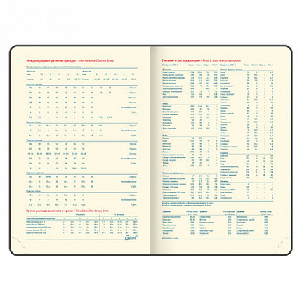 Ежедневник недатированный А5 (148х218 мм) GALANT "Magnetic", кожзам, магнитный клапан, 160 л., синий, 111879