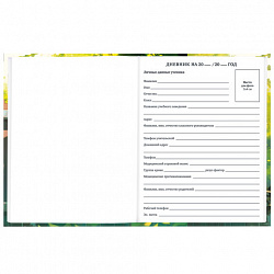 Дневник 1-11 класс 40 л., твердый, BRAUBERG, глянцевая ламинация, "Девочка и кот", 107166