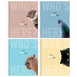 Тетрадь А5 48 л. HATBER гребень, клетка, Soft-touch ламинация, "Кто здесь?" (микс в спайке), 093578, 48Т5лВ1гр