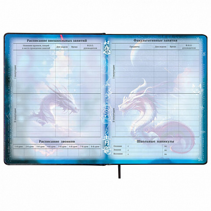 Дневник 1-11 класс 48 л., кожзам (твердая с поролоном), печать, цветной блок, BRAUBERG, "Ниндзя", 106950