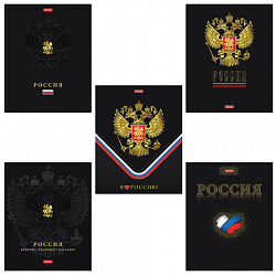 Тетрадь А5 48 л., HATBER, скоба, клетка, матовая ламинация, 3D-фольга, 3D-лак, Россия (микс), 093210, 48Т5лофлВ1