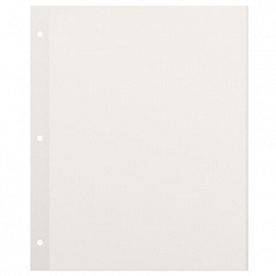 Листы для фотоальбома магнитные 23х28 см, КОМПЛЕКТ 10 шт., BRAUBERG, 391312