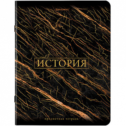 Тетради предметные, КОМПЛЕКТ 12 ПРЕДМЕТОВ, 48 л., SoftTouch, фольга, BRAUBERG, "MARBLE", 404326