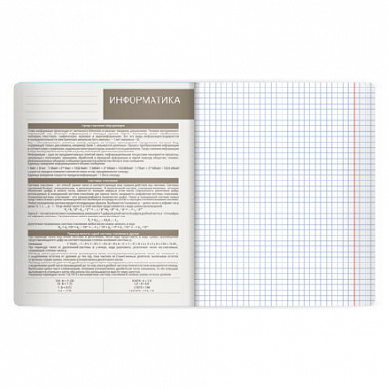 Тетрадь предметная MonoPastel 48л, пластиковая обложка, ИНФОРМАТИКА, клетка, подсказ, BRAUBERG, 405507