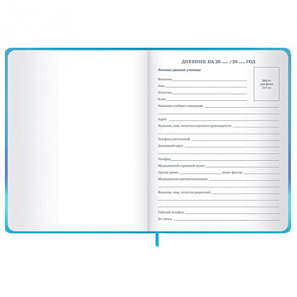 Дневник 1-11 класс 48 л., твердый, BRAUBERG, матовая ламинация, резинка, закладка-ляссе, с подсказом, "Котик", 107239