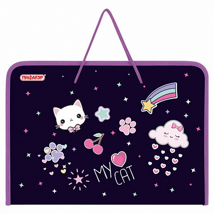 Папка для труда на молнии с ручками ПИФАГОР А4, 1 отделение, пластик, органайзер, "Leapfrog", 273388