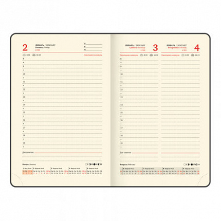 Ежедневник датированный 2026, МАЛЫЙ ФОРМАТ 100х150 мм, А6, BRAUBERG "Iguana", под кожу, черный, 117252