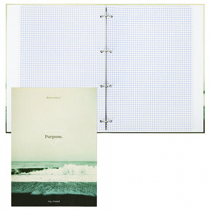 Тетрадь на кольцах БОЛЬШАЯ А4, 215х305 мм, 100 л., твердый картон, клетка, BRAUBERG, "Nature", 405411