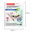 Папки-файлы перфорированные А4 BRAUBERG "STANDARD+", КОМПЛЕКТ 200 шт., гладкие, 45 мкм, 229663