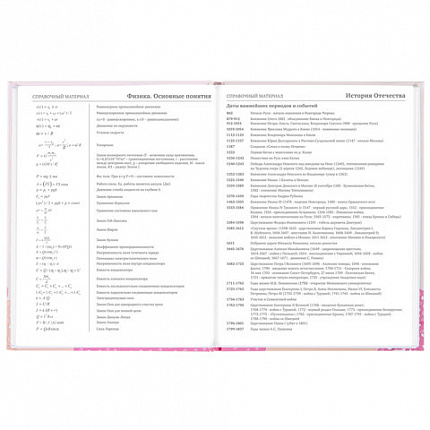 Дневник 5-11 класс 48 л., твердый, BRAUBERG, глянцевая ламинация, с подсказом, "Летний", 106631