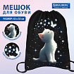 Мешок для обуви BRAUBERG PREMIUM, карман, подкладка, светоотражайка, 43х33 см, "White kitten", 274646