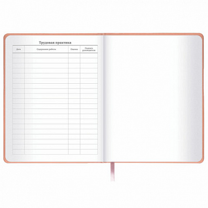 Дневник 1-11 класс 48 л., кожзам (твердая с поролоном), тиснение, аппликация, BRAUBERG, "Smart Cat", 106206