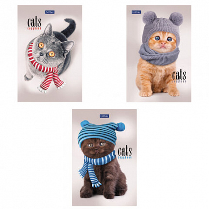 Блокнот МАЛЫЙ ФОРМАТ А6, 40 л., склейка, мелованная бумага, клетка, глянцевая ламинация, HATBER, "Кототерапия", 057230, 40Б6лA1к