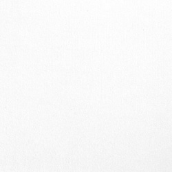 Бумага для акварели БОЛЬШАЯ А2, 10 л., 200 г/м2, 400х590 мм, BRAUBERG, "Цветы", 125223