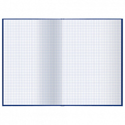 Книга учета 96 л., клетка, твердая, бумвинил, офсет, герб, А4 (200х290 мм), BRAUBERG, синяя, 130141
