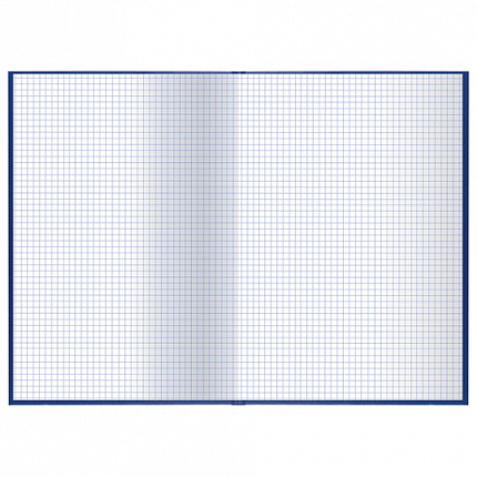 Книга учета 96 л., клетка, твердая, бумвинил, офсет, герб, А4 (200х290 мм), BRAUBERG, синяя, 130141