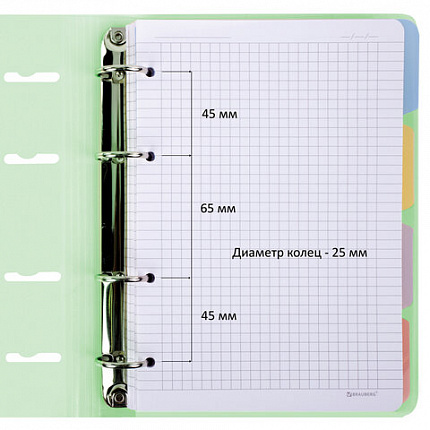 Тетрадь на кольцах А5 175х220мм, 120л, пластик, с резинкой и разделителями, BRAUBERG, Зеленый, 404632