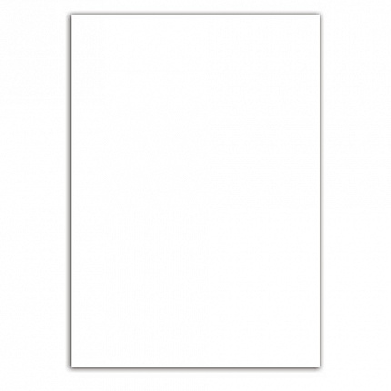 Картон белый А4 МЕЛОВАННЫЙ (белый оборот), 10 листов, BRAUBERG, 200х290 мм, 128017