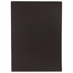 Магнитный карман для документов, фото, записок, формат А4, прозрачный, BRAUBERG, 236792