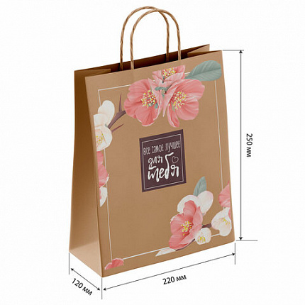Крафт-пакет бумажный "Для тебя" 22х12х25 см, с кручеными ручками, плотность 80 г/м2, 110562