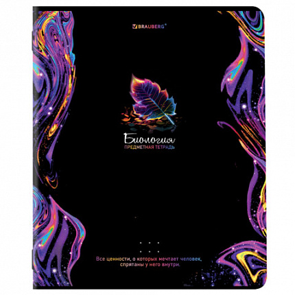 Тетради предметные, КОМПЛЕКТ 12 ПРЕДМЕТОВ, BLUR, 48л, глянцевый УФ-лак, BRAUBERG, 404836