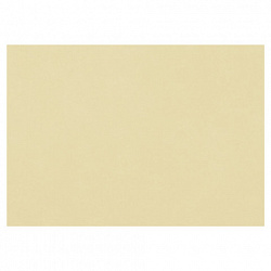 Бумага для пастели (1 лист) FABRIANO Tiziano А2+ (500х650 мм), 160 г/м2, песочный, 52551006