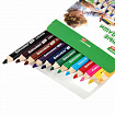 Карандаши цветные толстые для малышей 12 цветов + ТОЧИЛКА В ПОДАРОК! трехгранные, натуральное дерево BRAUBERG KIDS, 182058